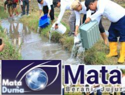 Program Ketahanan Pangan Berlanjut, Komoditas di Lahan SAE Pakis Lapas Banyuwangi Semakin Beragam