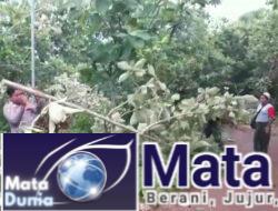 Angin Puting Beliung Melanda Desa Payudan, Personel Polsek Guluk-Guluk dan Koramil Gercep Bantu Warga 
