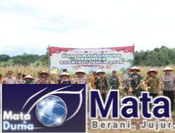 Polresta Banyuwangi Gelar Panen Raya Jagung Serentak Kuartal I Tahun 2025