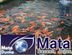 Bekali Masa Depan, Lapas Banyuwangi Kembangkan Kemandirian Warga Binaan Lewat Budidaya Anggrek