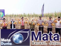Bersama Bupati Ipuk, Gubernur dan Kapolda Jatim Panen Raya Jagung di Banyuwangi