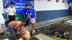 Lapas Banyuwangi Potong 12 Hewan Qurban, Warga Binaan Akan Nyate Bareng