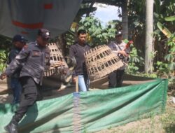 Tindak Lanjuti Dugaan Perjudian Sabung Ayam, Polres Blitar Kota Bubarkan Arena di Ponggok dan Srengat