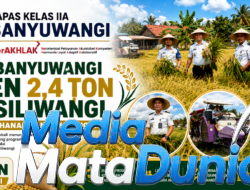 Lapas Banyuwangi Panen 2,4 Ton Padi Siliwangi, Perkuat Ketahanan Pangan Nasional