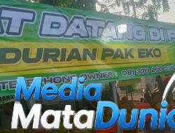 Durian Pak Eko: Kualitas Rasa Sebagai Prinsip Utama, “Tak Enak, Tak Perlu Bayar”