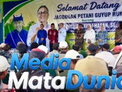 Jagongan Bareng Petani Banyuwangi, Menko Pangan Janji Kawal Pembenahan Infrastruktur Pertanian
