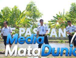 Konsisten Sukses 2 Kali Panen, Lapas Banyuwangi Garap Lagi Padi di Lahan SAE Paswangi