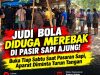 JUDI BOLA DIDUGA MEREBAK DI PASIR SAPI AJUNG! Buka Tiap Sabtu Saat Pasaran Sapi, Aparat Diminta Turun Tangan