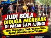 JUDI BOLA DIDUGA MEREBAK DI PASAR SAPI AJUNG! Buka Tiap Sabtu Saat Pasaran Sapi, Aparat Diminta Turun Tangan