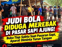 JUDI BOLA DIDUGA MEREBAK DI PASAR SAPI AJUNG! Buka Tiap Sabtu Saat Pasaran Sapi, Aparat Diminta Turun Tangan