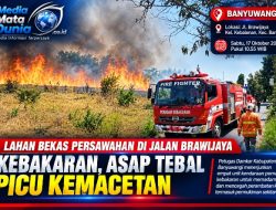 KEBAKARAN LAHAN BEKAS SAWAH DI JALAN BRAWIJAYA BANYUWANGI, ASAP TEBAL PICU KEMACETAN